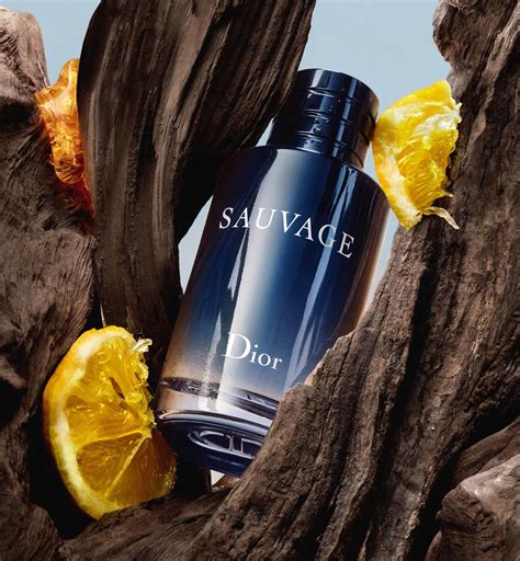 joshua national park sauvage dior|Sauvage Eau de Toilette .